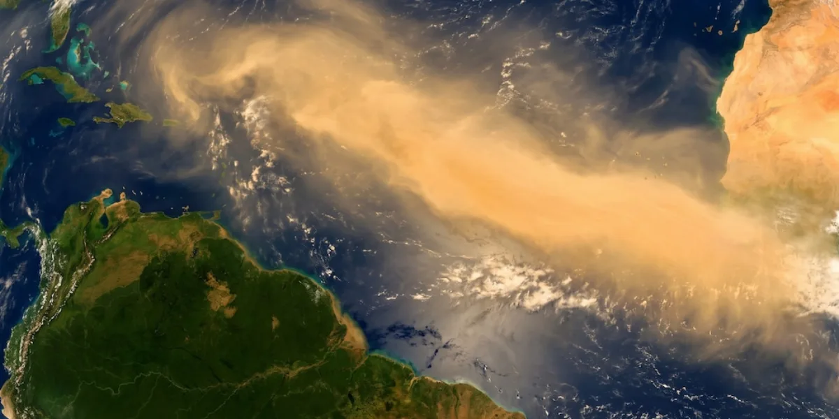 Cómo el polvo del Sahara cruza el Atlántico y nutre la Amazonia