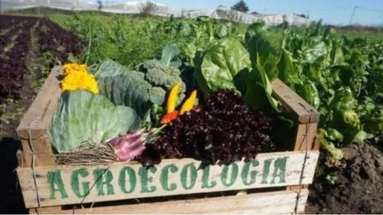 La revolución de la agroecología en la agricultura sostenible y la soberanía alimentaria.