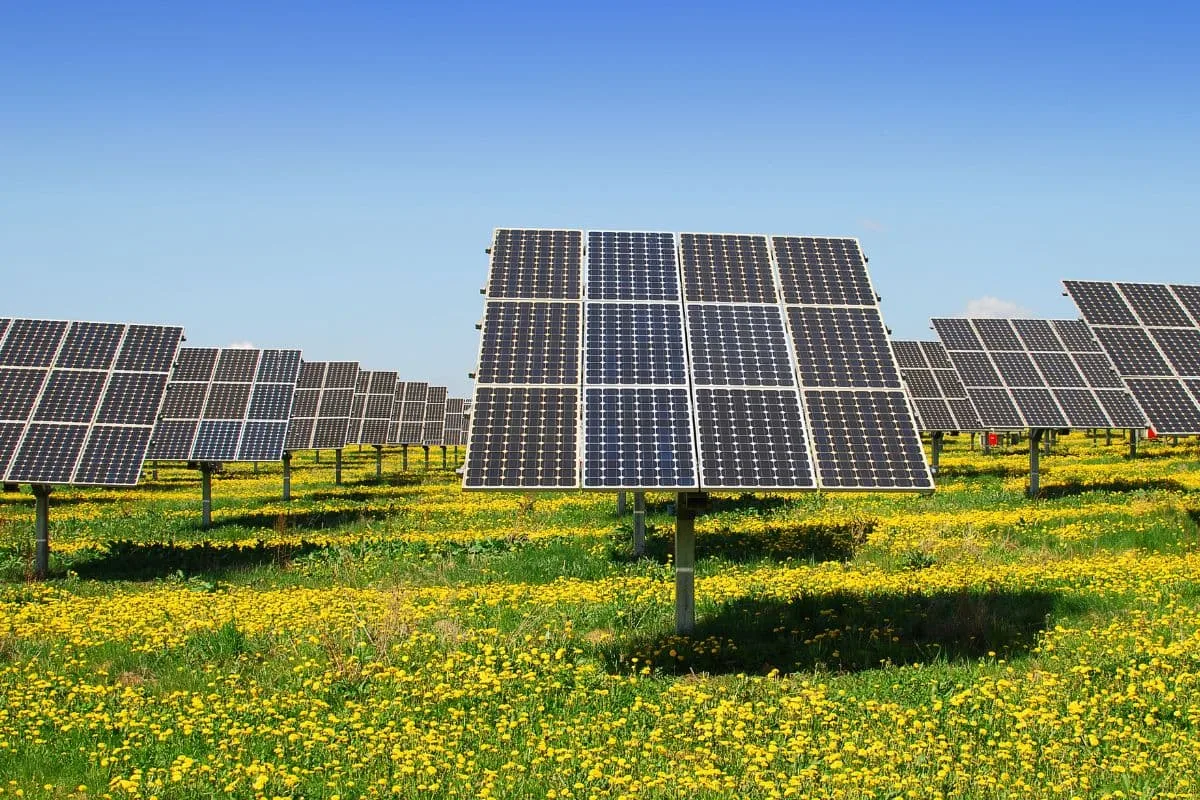 La revolución de la energía solar fotovoltaica y su impacto en la transición hacia fuentes de energía renovables.